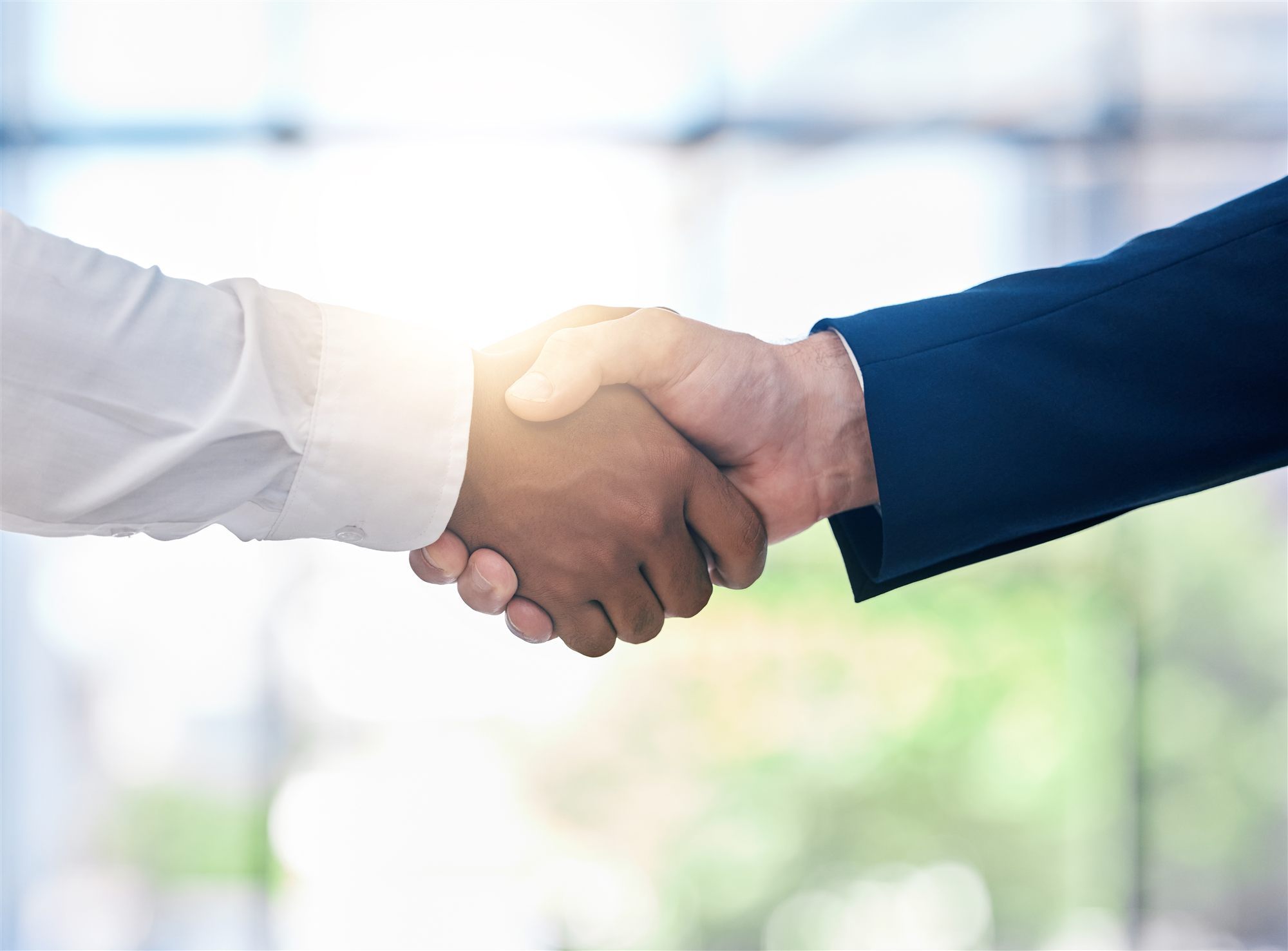 Two business professionals shaking hands
